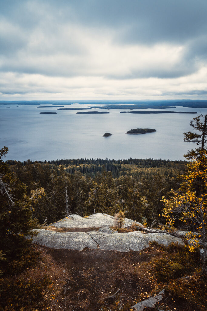 Tavataan seikkailulla Kolin Kansallispuistossa